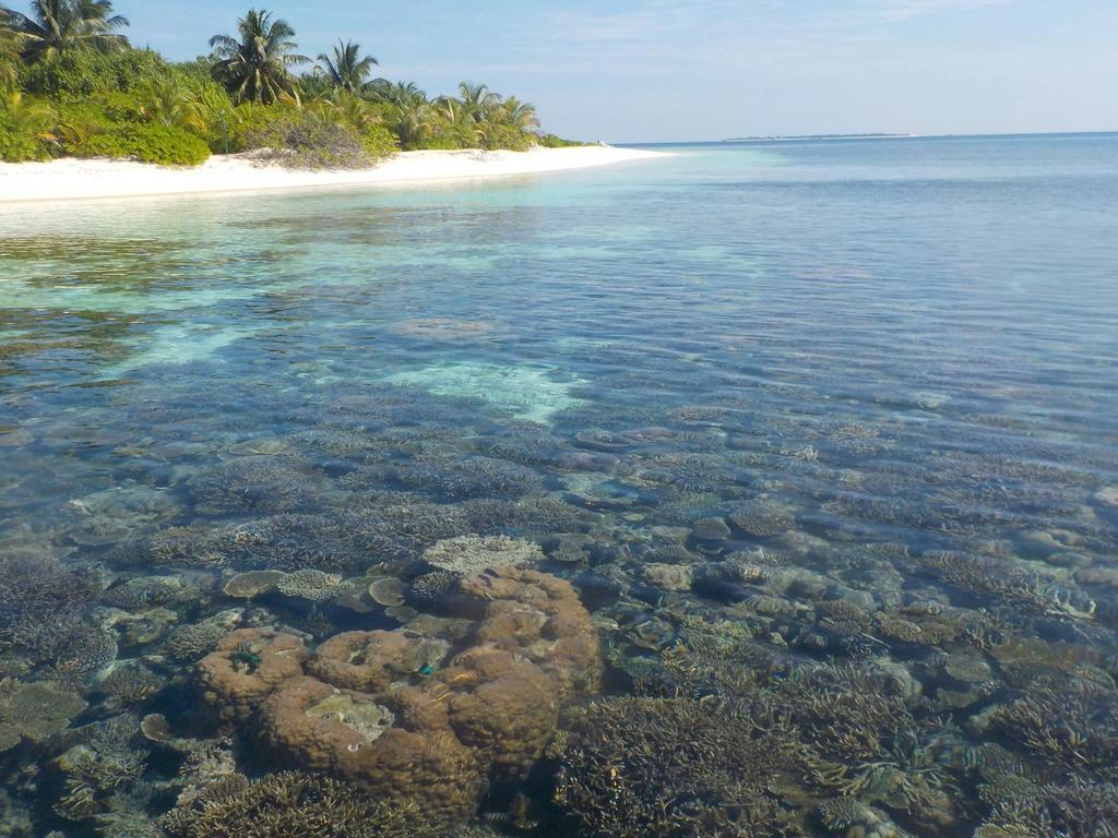 New Moon Village Ukulhas Island Ngoại thất bức ảnh